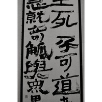 2012年　独立選抜書展　入選作品<br />臨書『生死不可道者。。。』            　